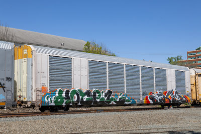 SFLC 307441
