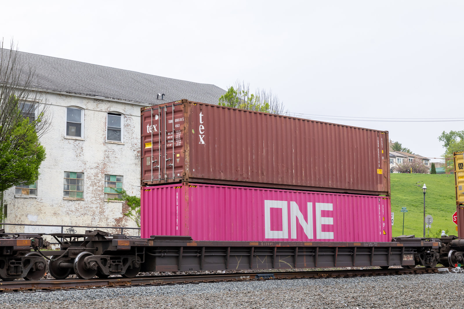 CN 677135D