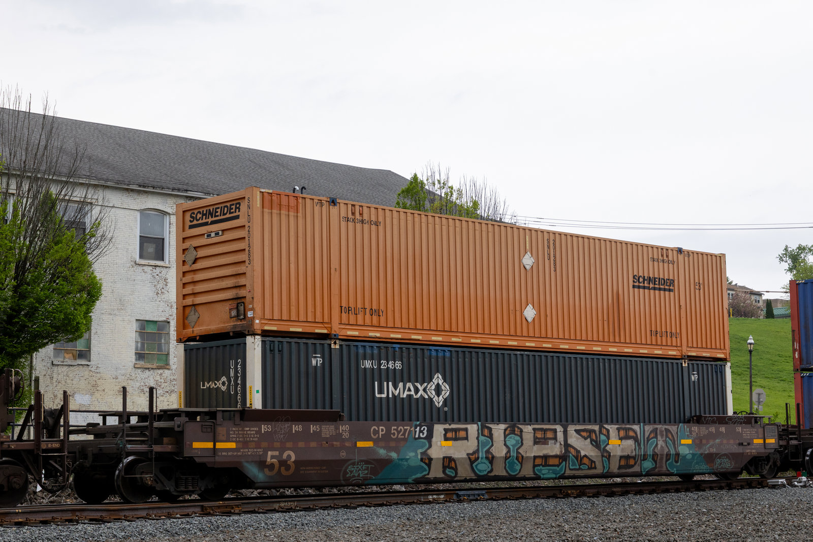 CP 527113