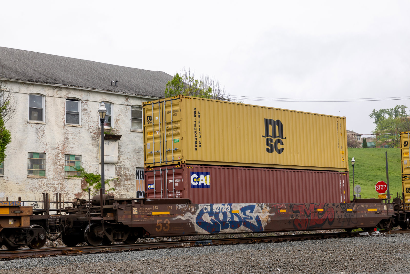 CP 527373