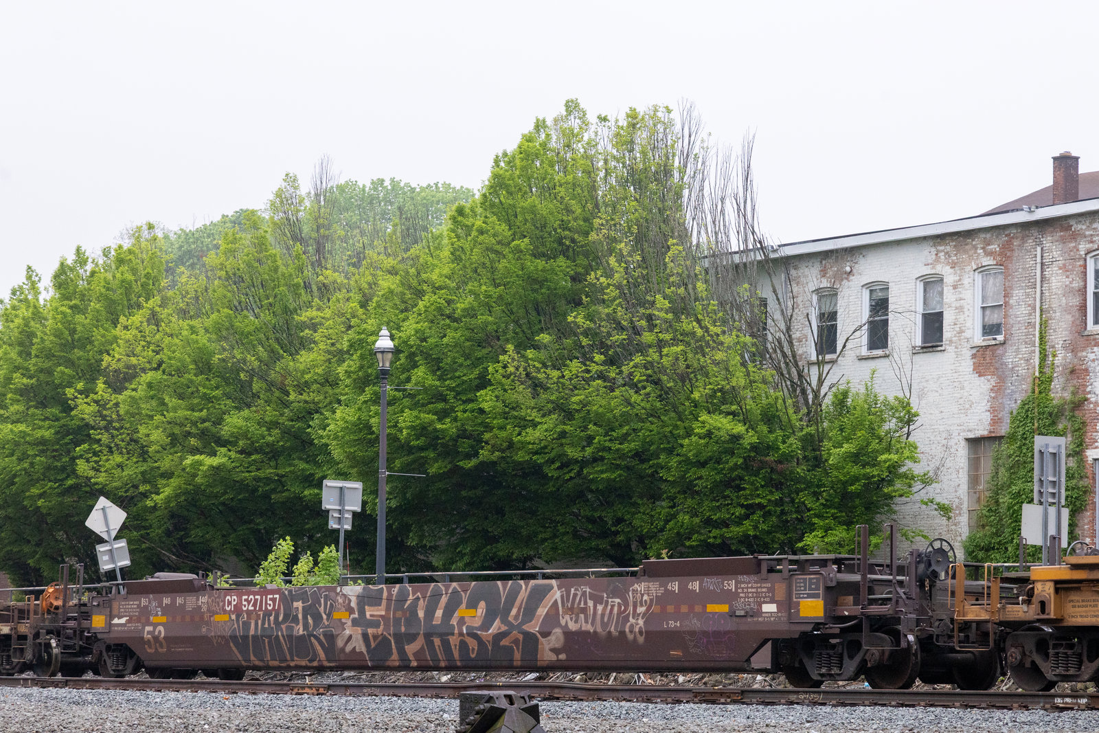 CP 527157