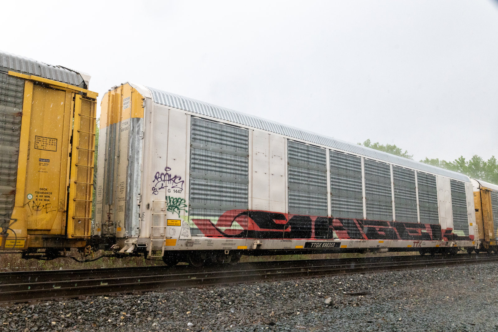 TTGX 698353