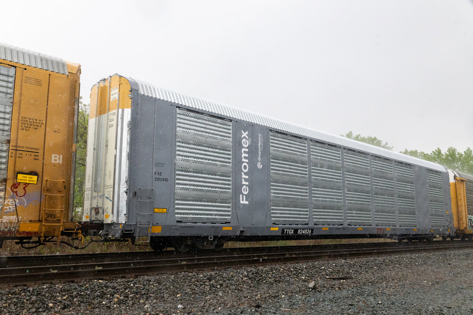 TTGX 824826