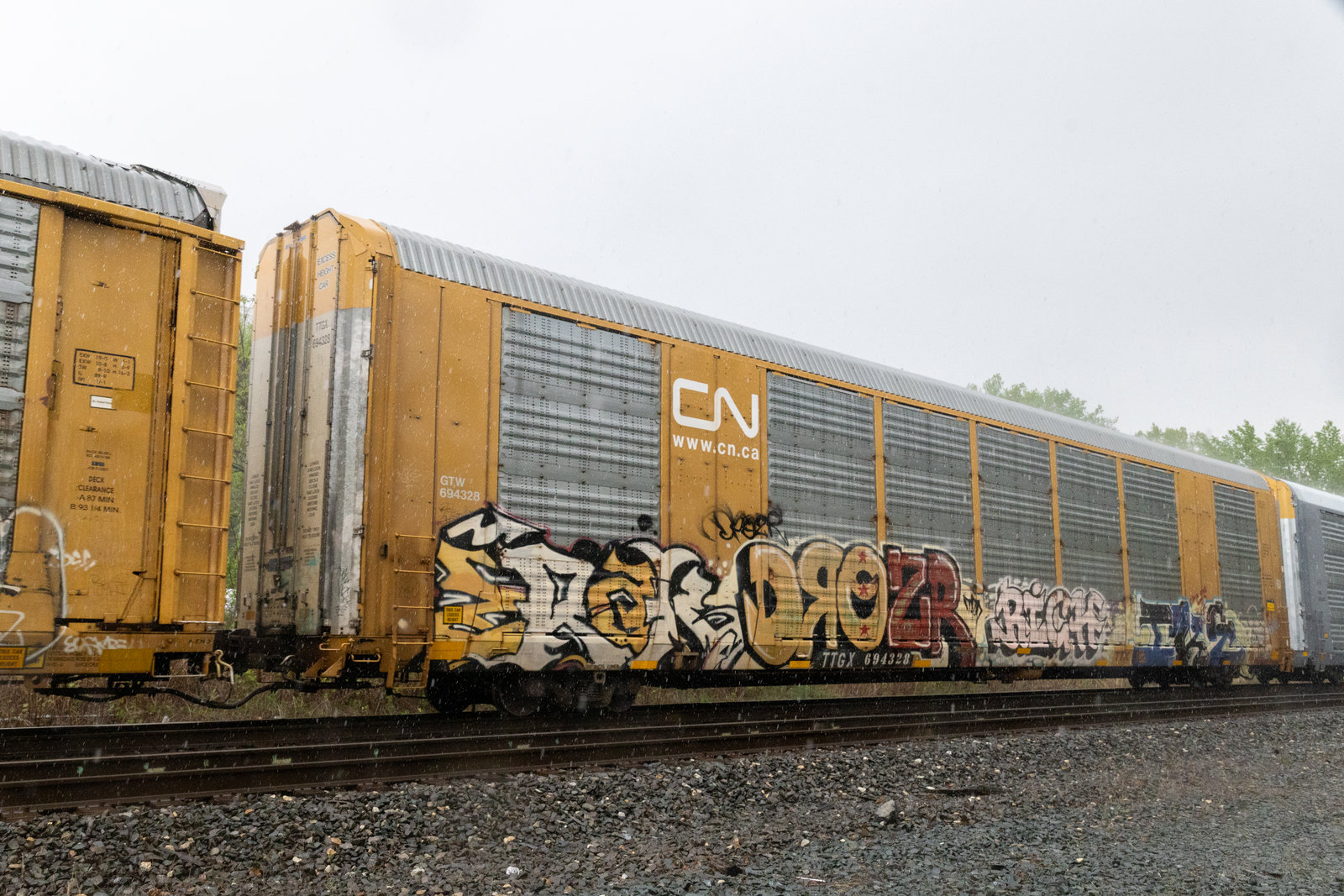 TTGX 694328