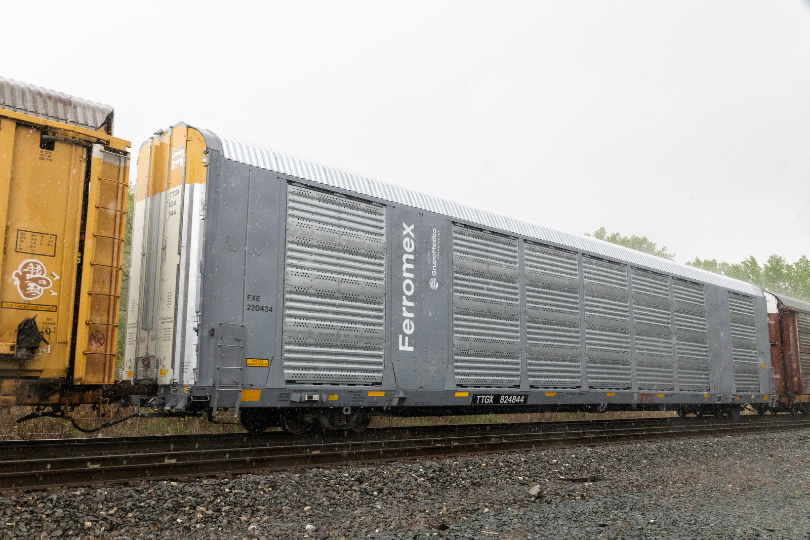 TTGX 824844