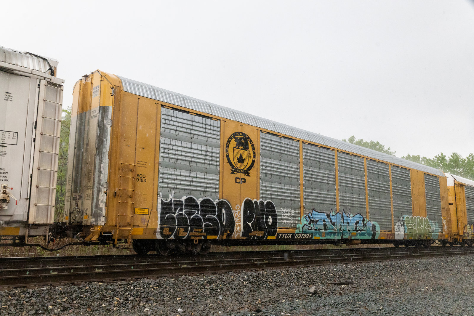 TTGX 697894