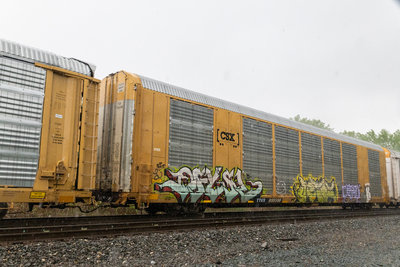 TTGX 695598