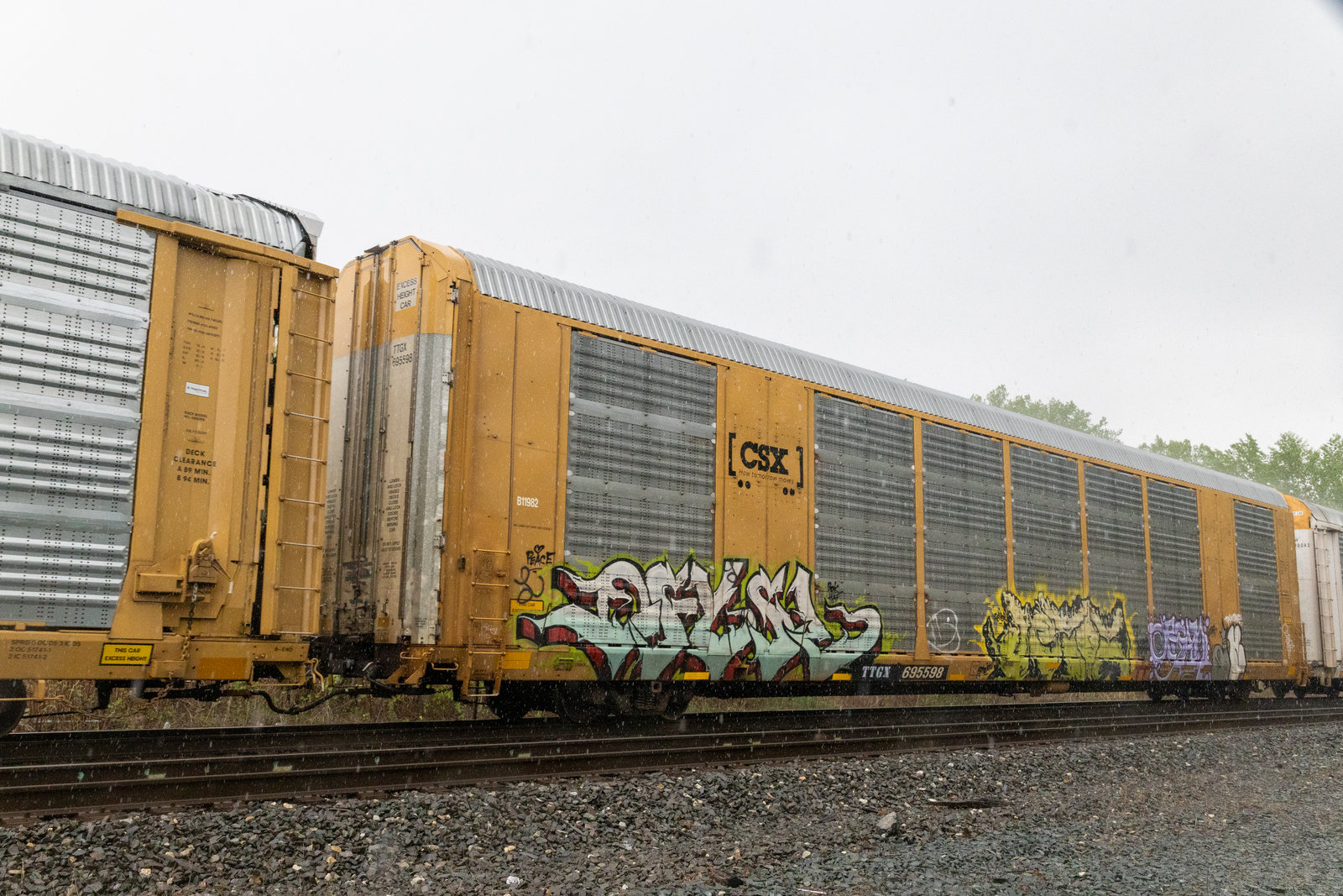 TTGX 695598