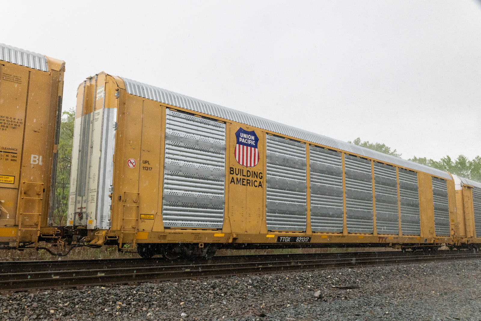 TTGX 821317