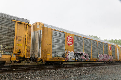 TTGX 696596