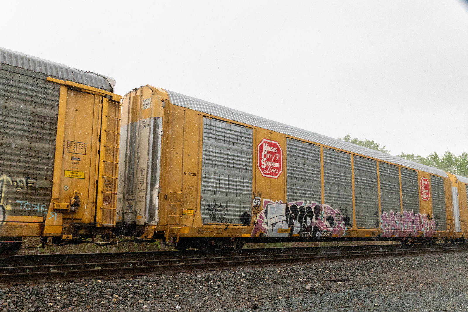 TTGX 696596