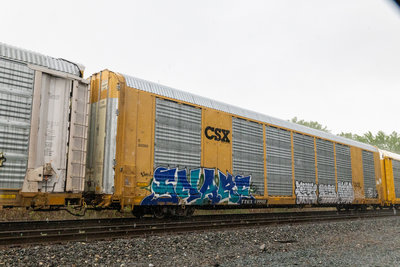 TTGX 699955