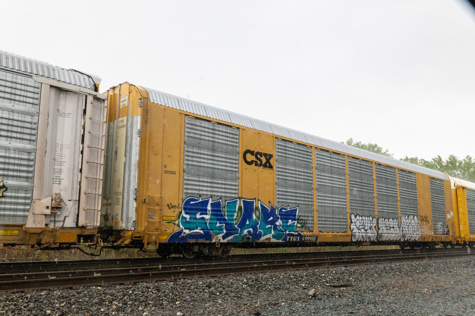 TTGX 699955