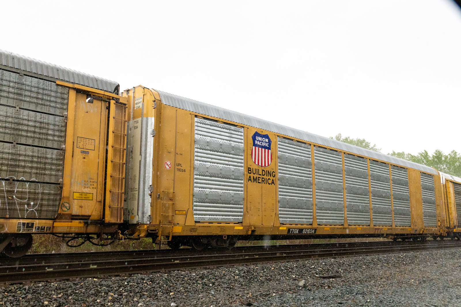 TTGX 821034