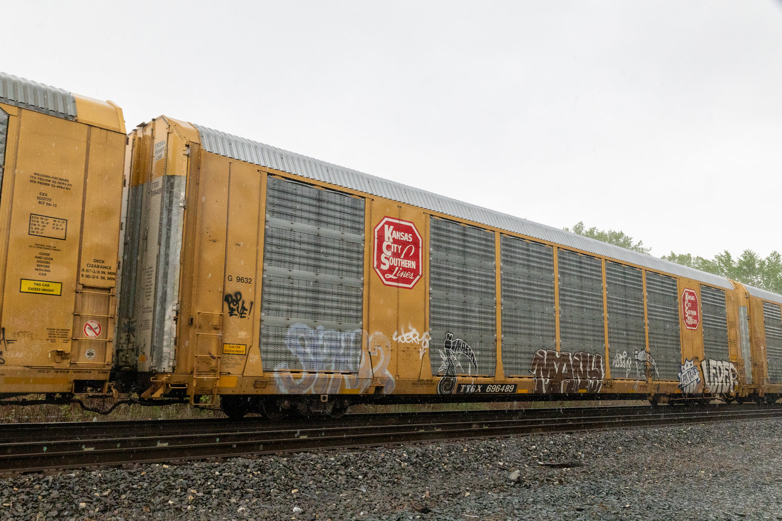 TTGX 696489