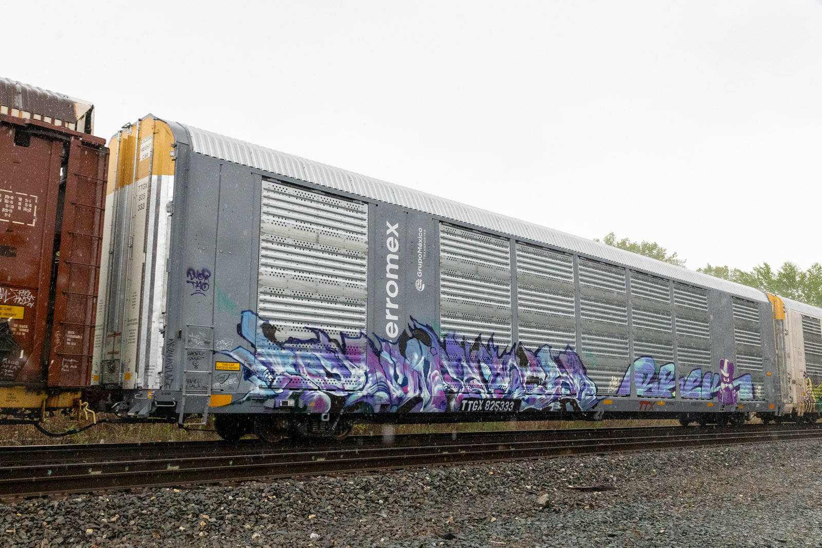 TTGX 825333