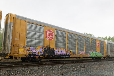 TTGX 693883