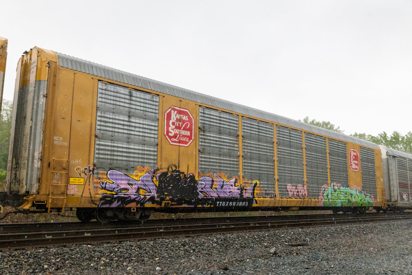 TTGX 693883