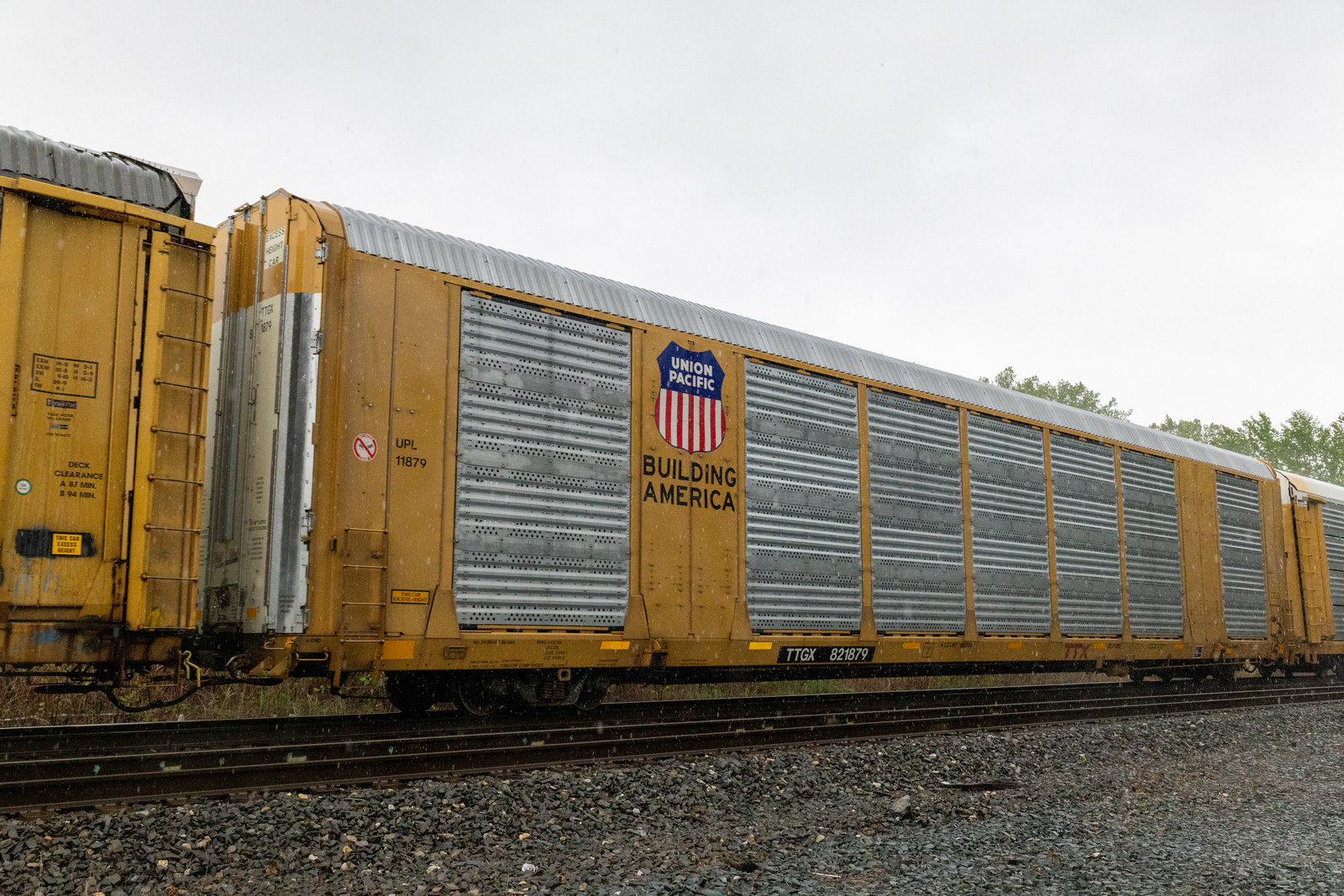 TTGX 821879