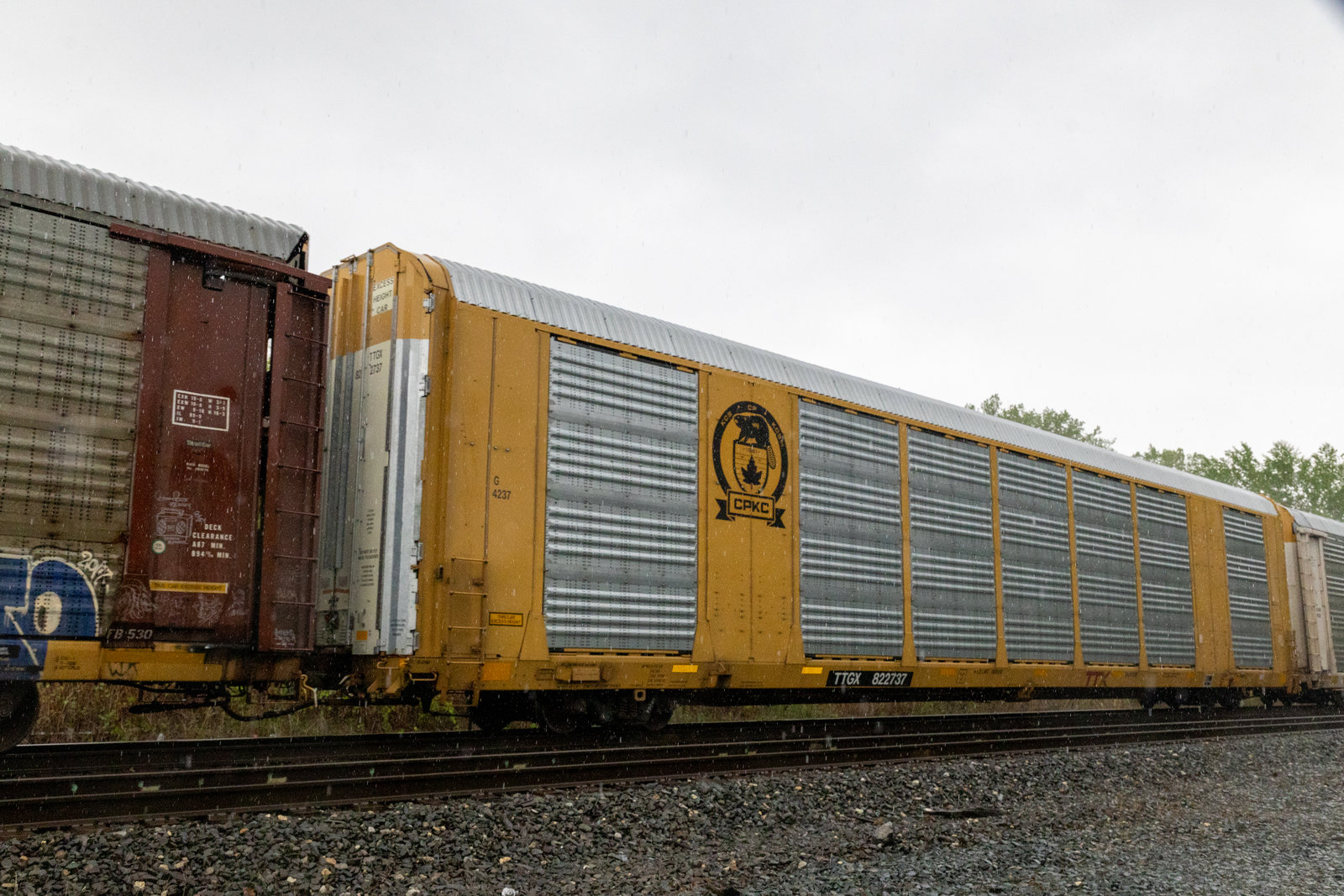 TTGX 822737