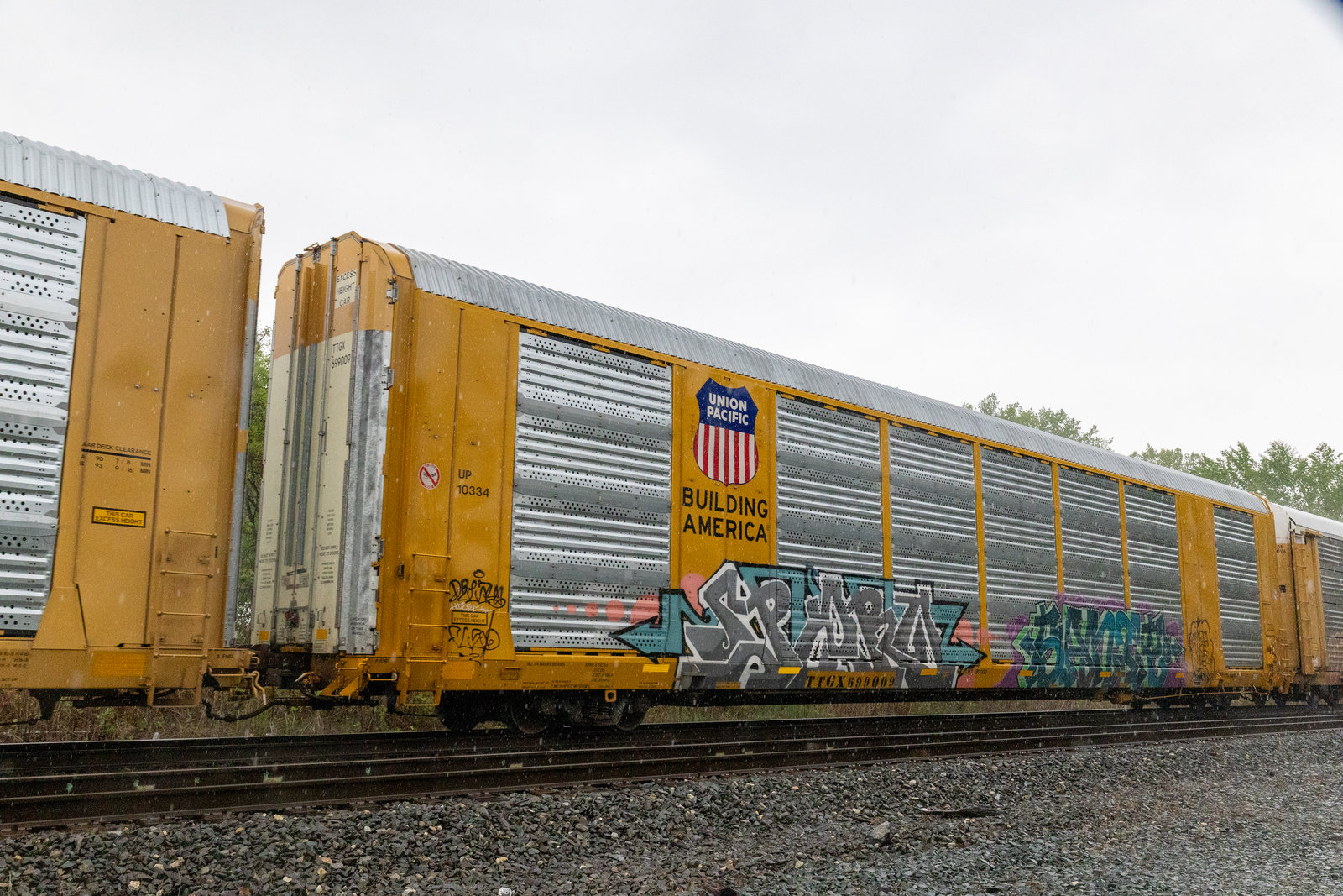 TTGX 699009