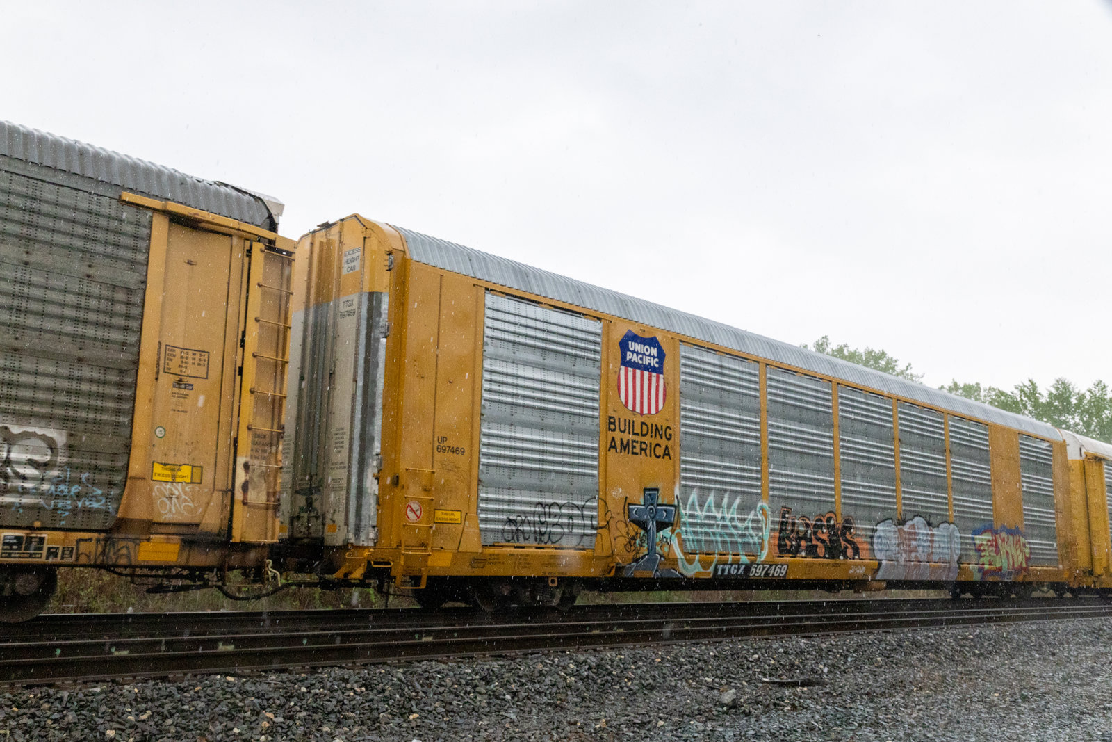TTGX 697469