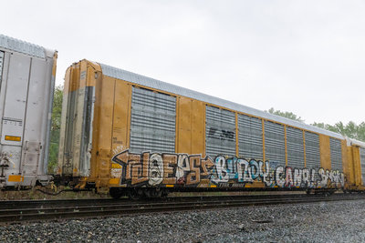 TTGX 698122
