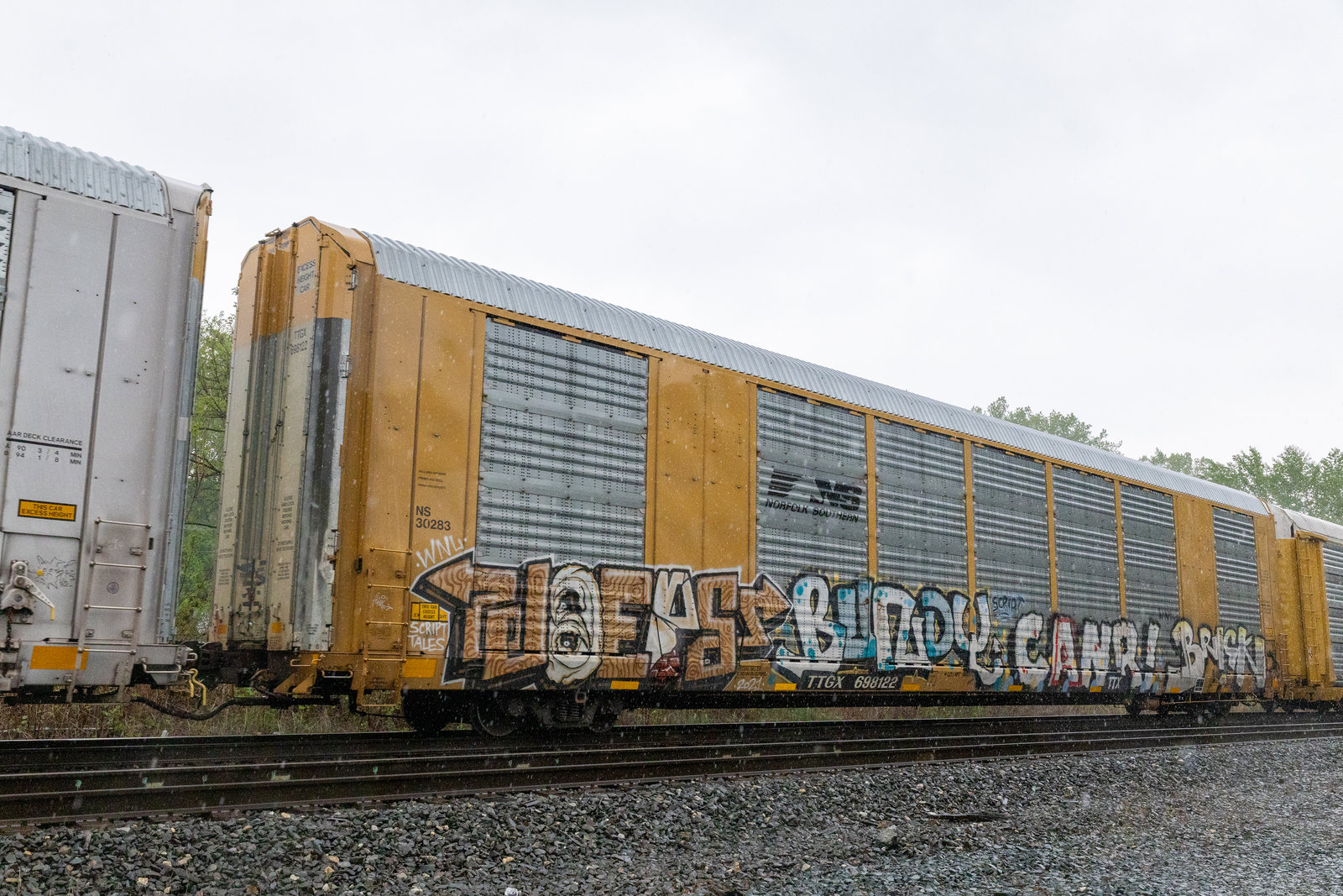 TTGX 698122