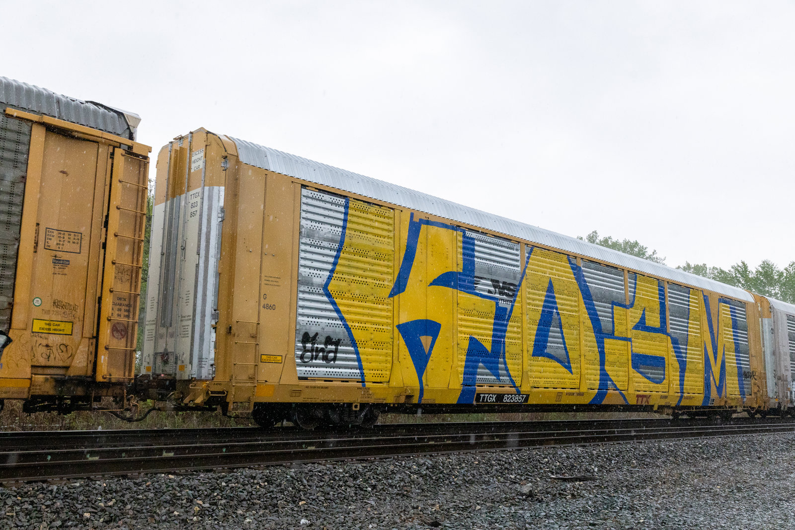 TTGX 823857