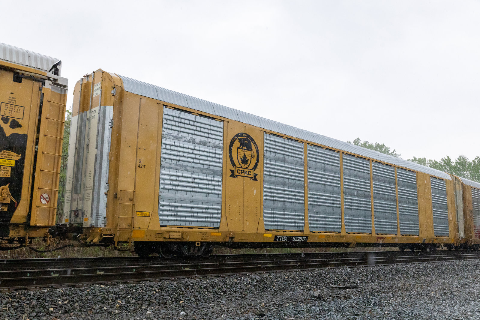 TTGX 822817