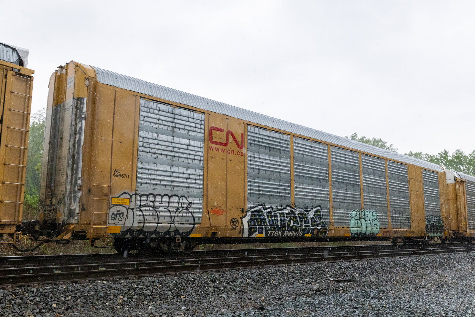 TTGX 696670