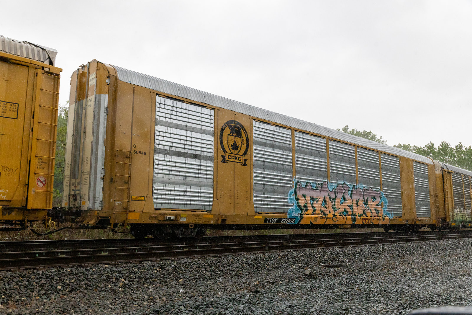 TTGX 822498