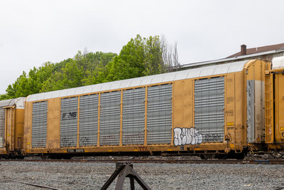 TTGX 698110