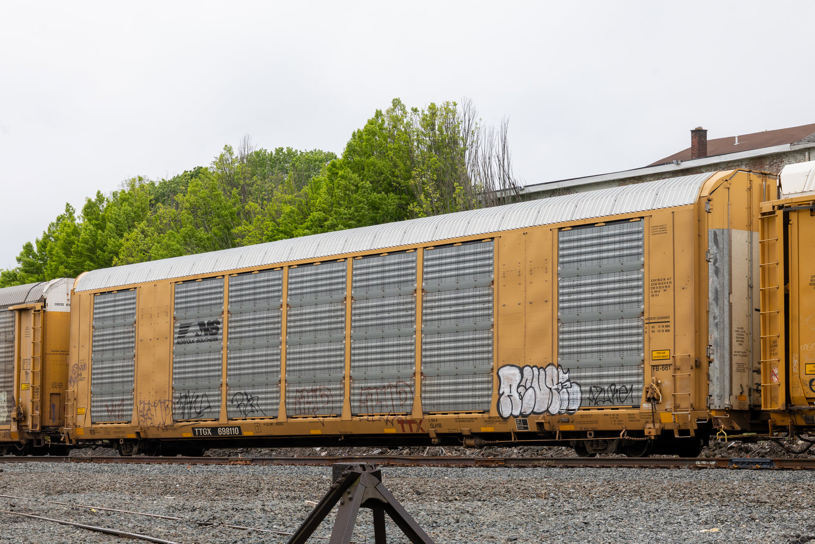 TTGX 698110