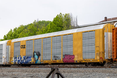 TTGX 699678
