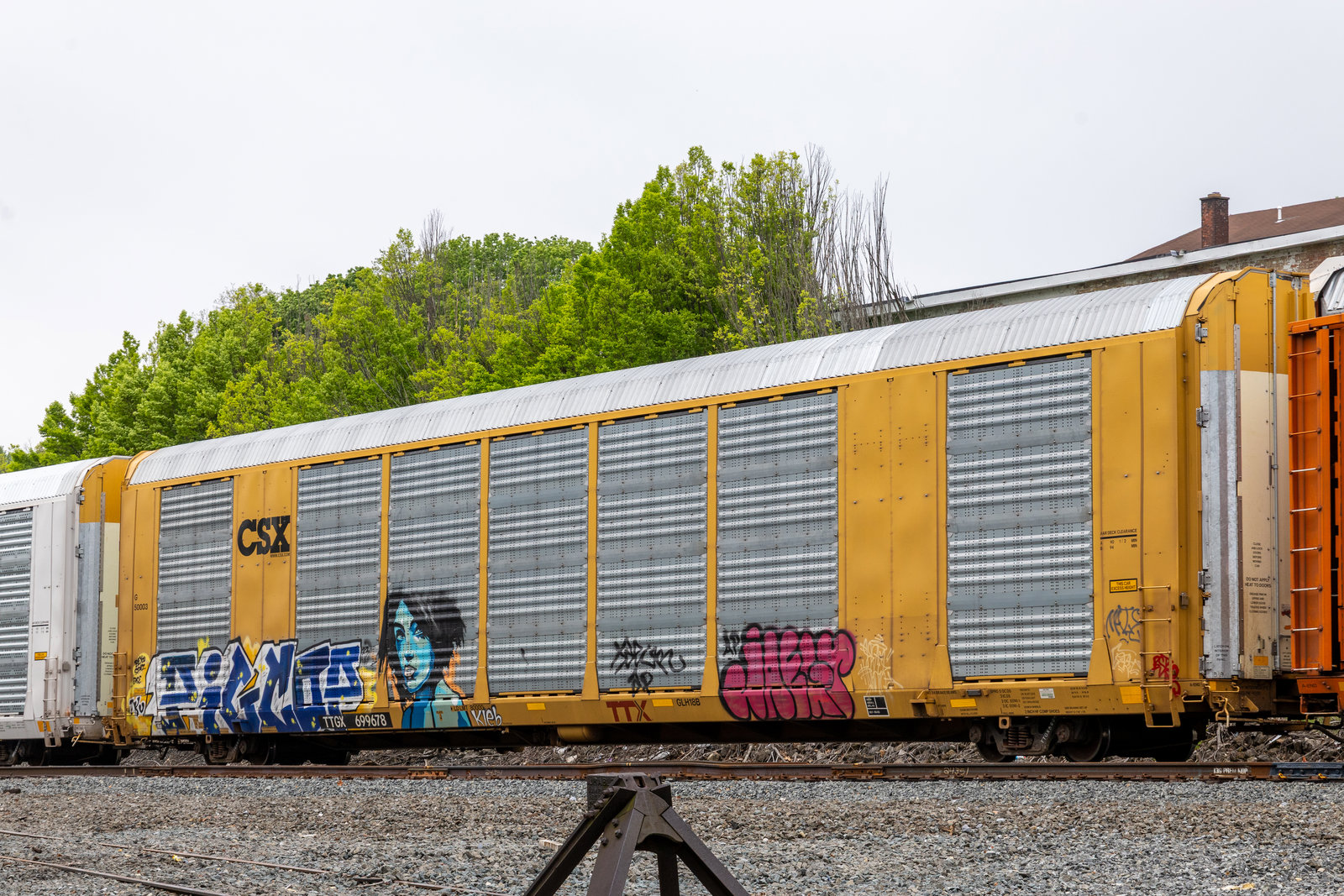 TTGX 699678