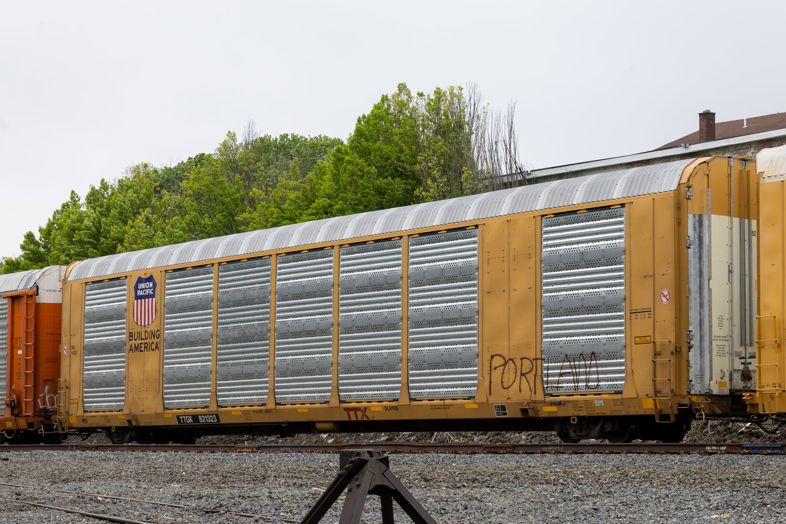 TTGX 821323
