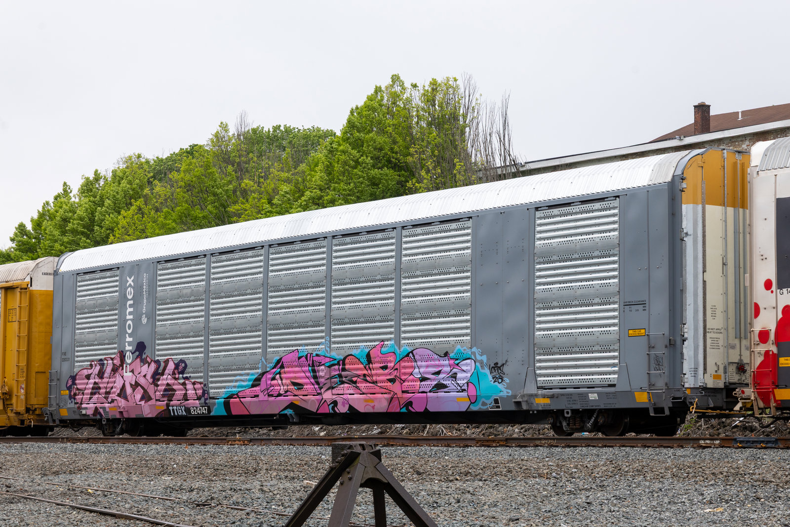 TTGX 824747
