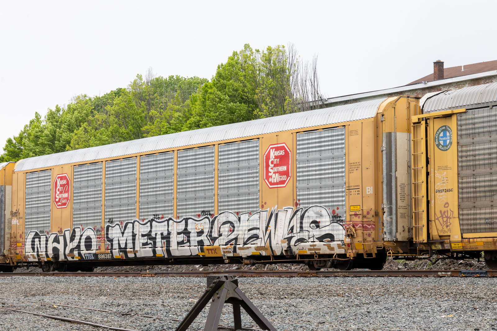 TTGX 696387