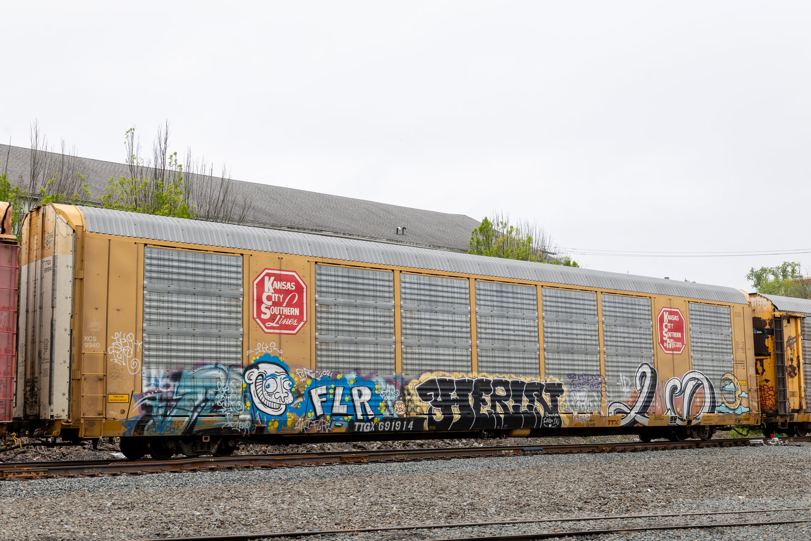 TTGX 691914