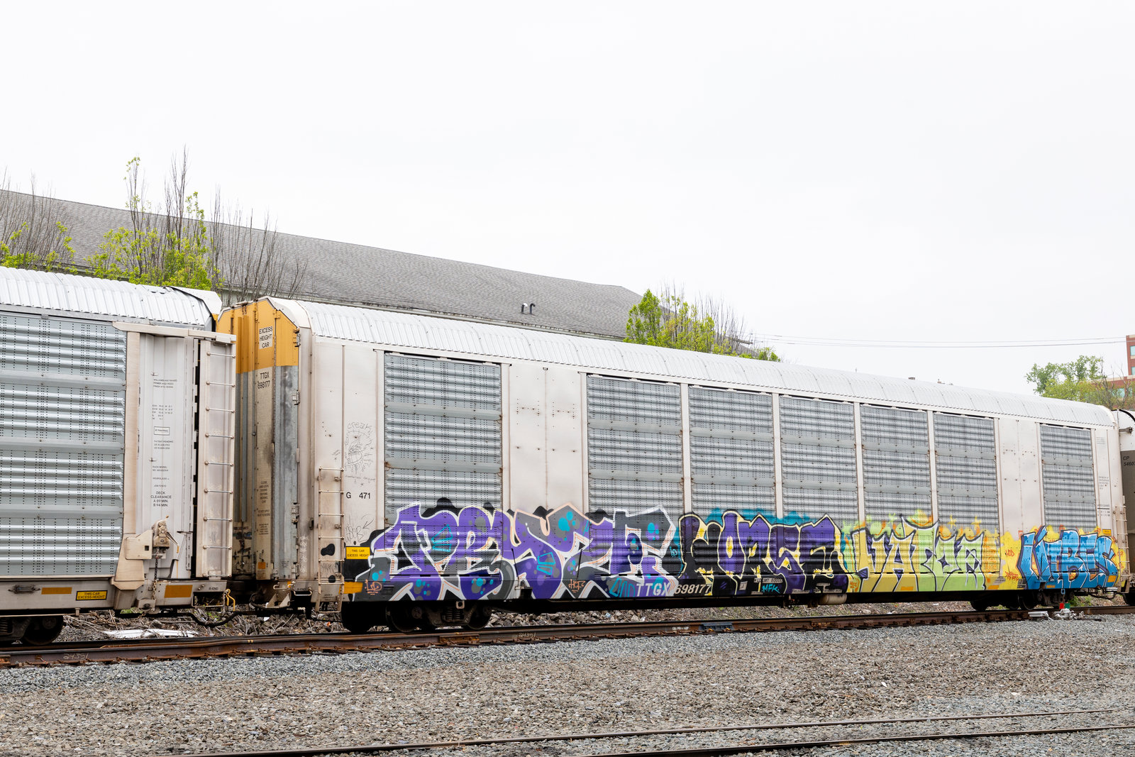 TTGX 698177