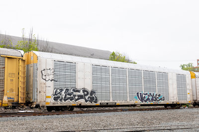 TTGX 698301
