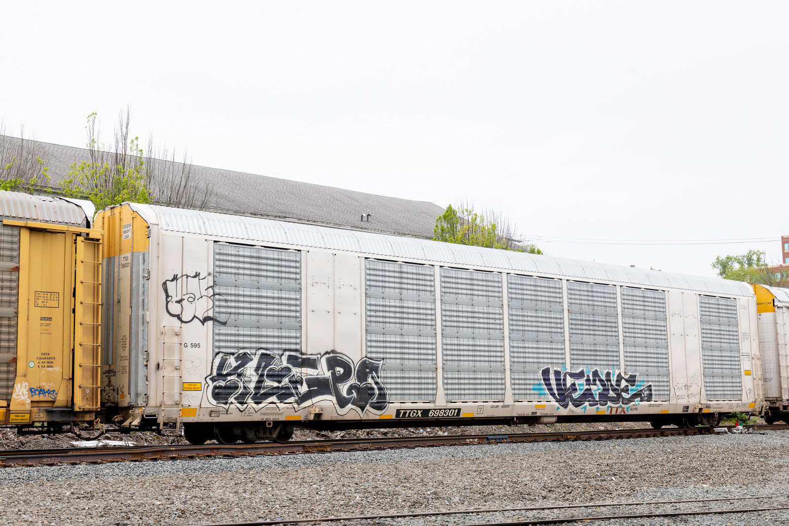 TTGX 698301