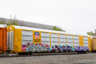 TTGX 823117
