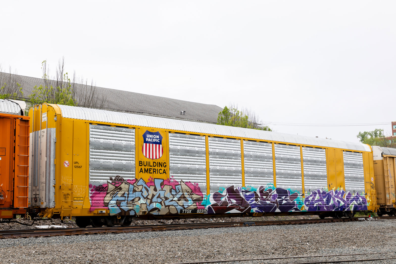 TTGX 823117