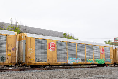 TTGX 695356