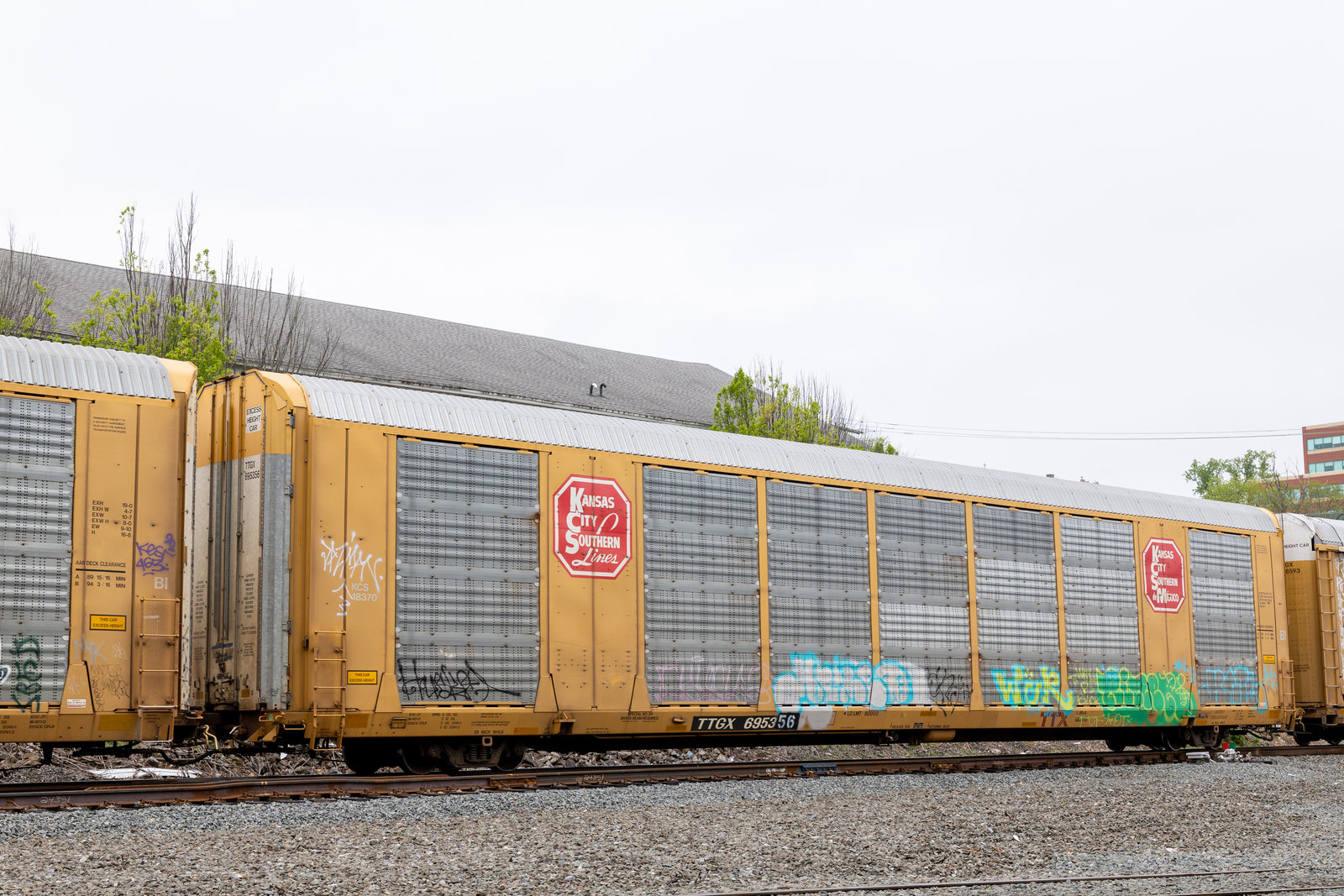 TTGX 695356