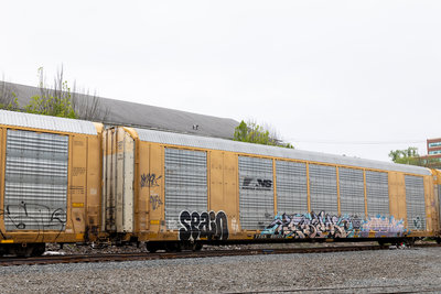 TTGX 691574