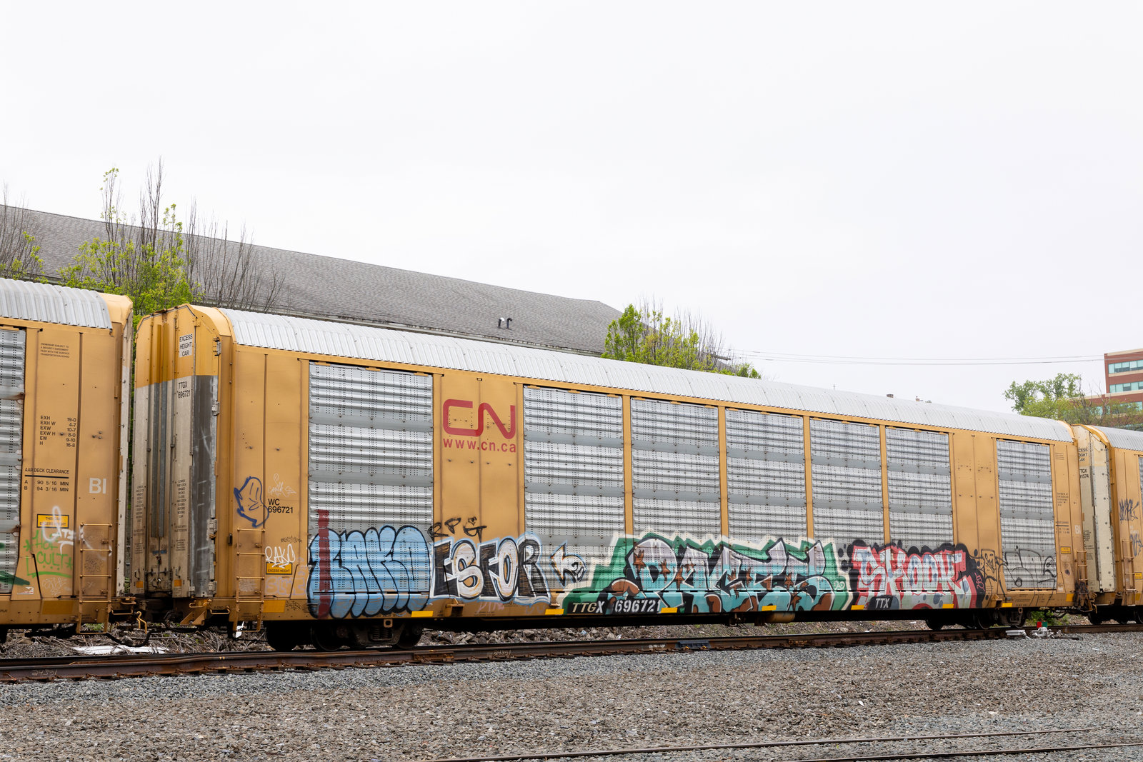 TTGX 696721