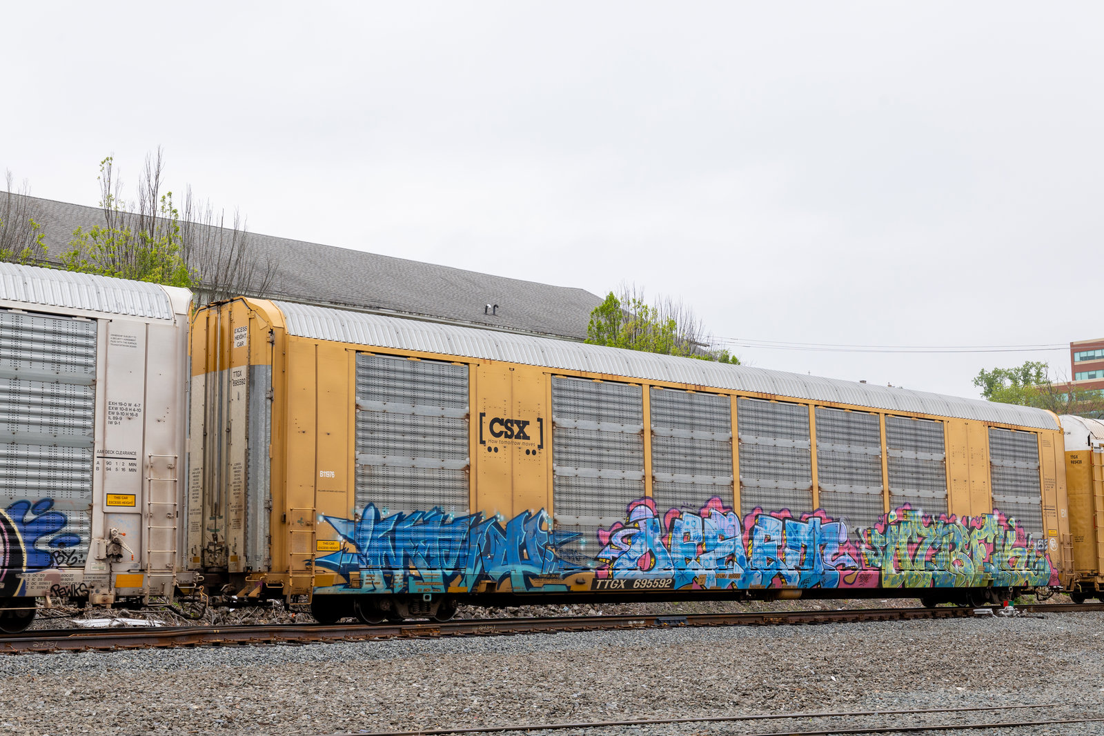 TTGX 695592